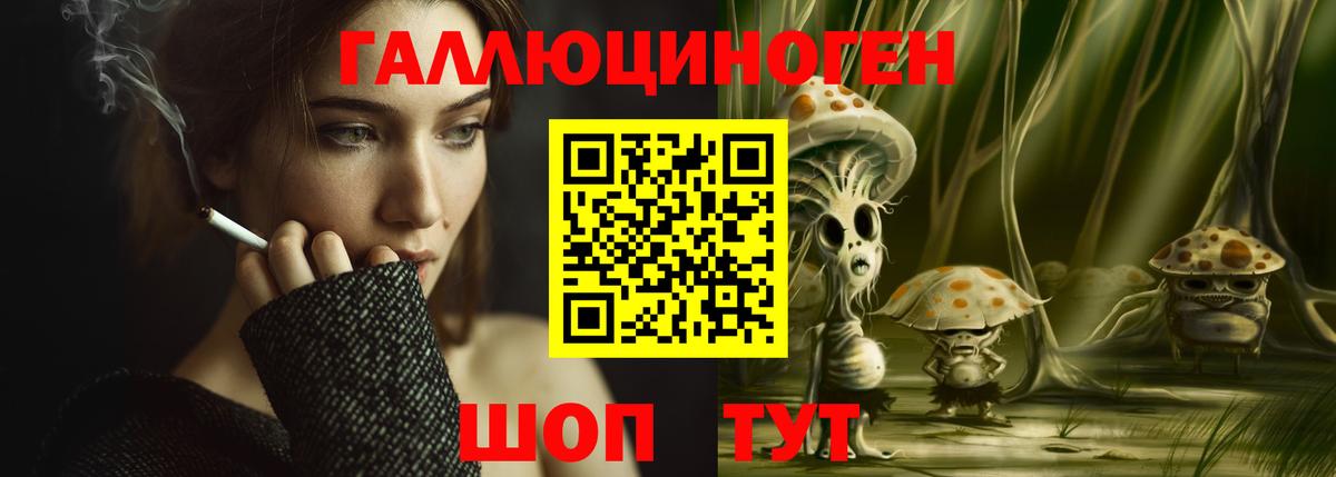 Обнинск  цены   Вход с VPN  Псилоцибиновые грибы мицелий 